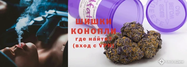 ПСИЛОЦИБИНОВЫЕ ГРИБЫ Горняк