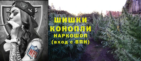 ПСИЛОЦИБИНОВЫЕ ГРИБЫ Вяземский