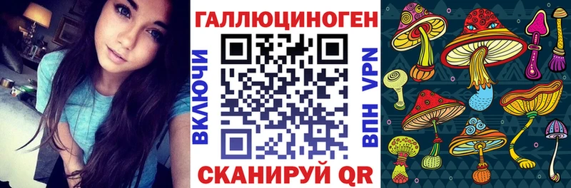 Псилоцибиновые грибы Psilocybine cubensis  Джанкой 